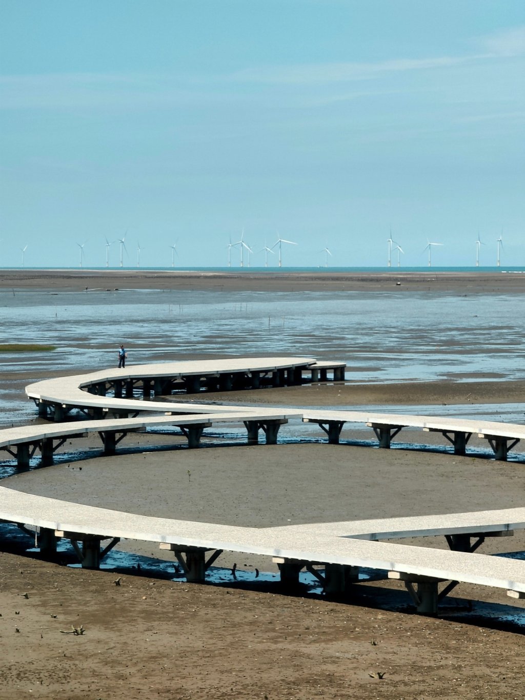 【香山濕地-賞蟹步道】彈塗魚在空中