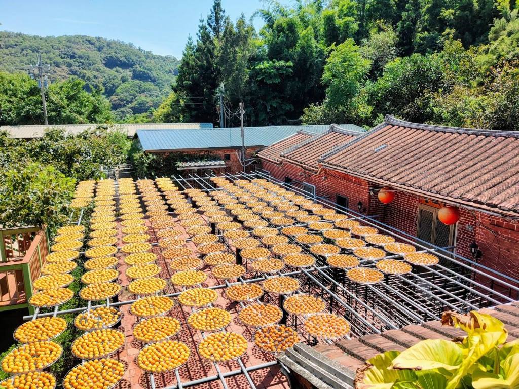 金黃柿餅是新竹縣秋天的顏色!