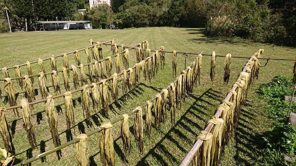 關西古名鹹菜甕