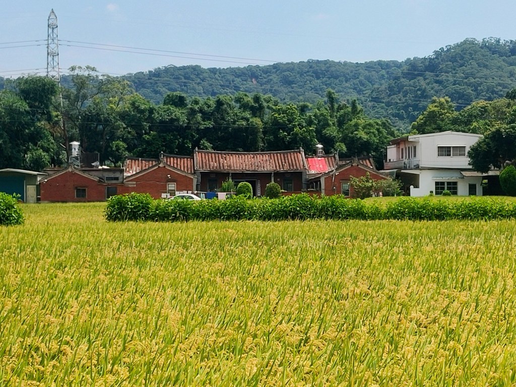 璞玉田 竹北東海與芎林下山村