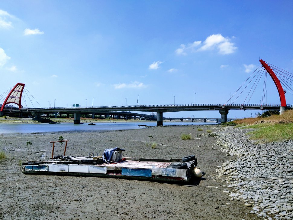 【舊港河堤公園】台灣欒樹