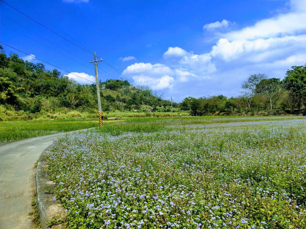 峨眉龜山 蝴蝶祕境