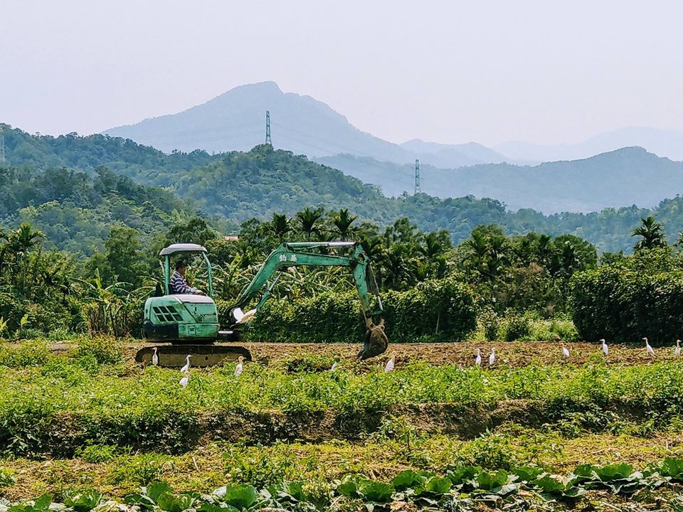 北埔 南埔村 ：BK窯烤麵包&nbsp;蕭家墓園