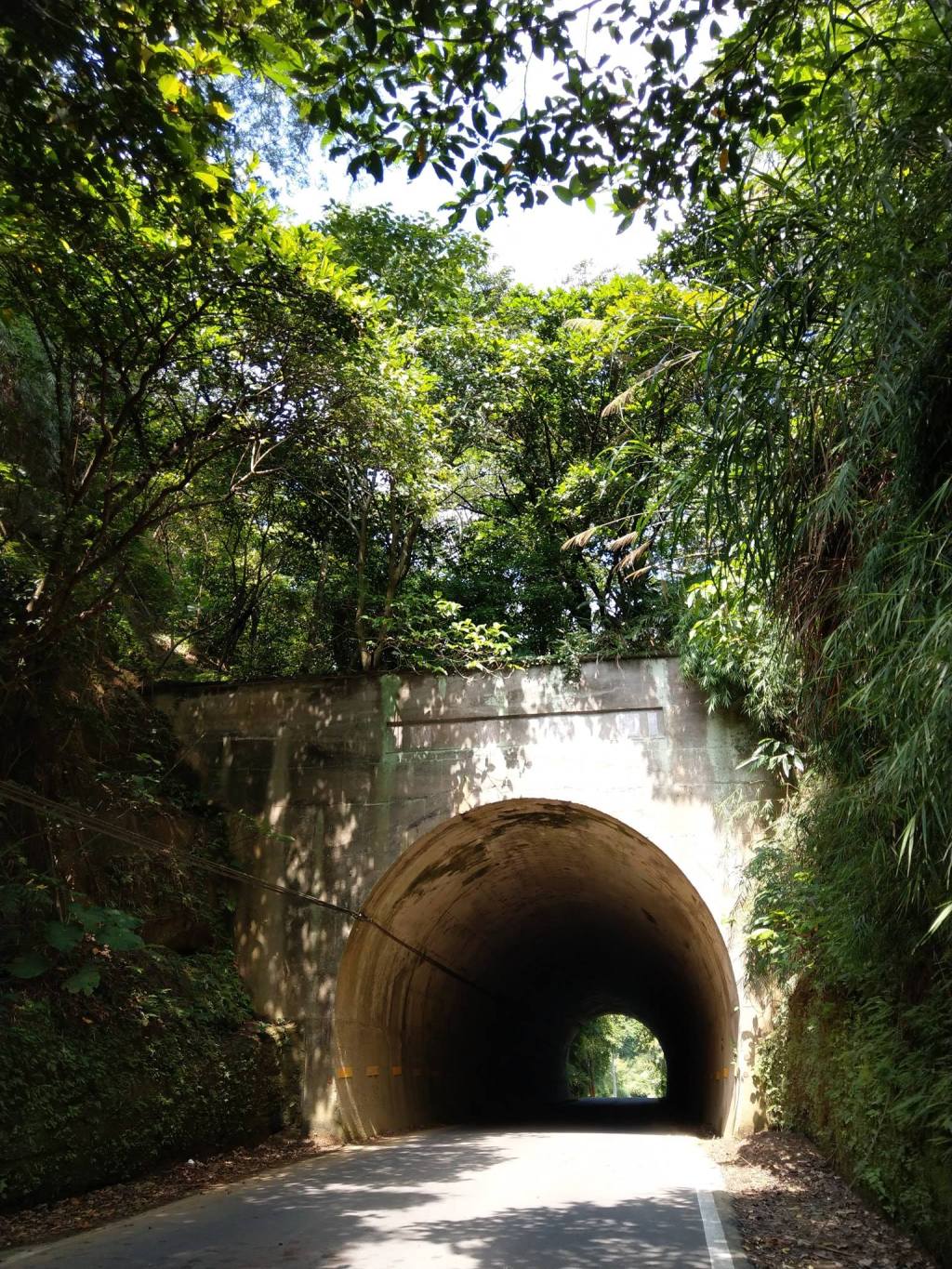芎林往關西 神隱少女隧道