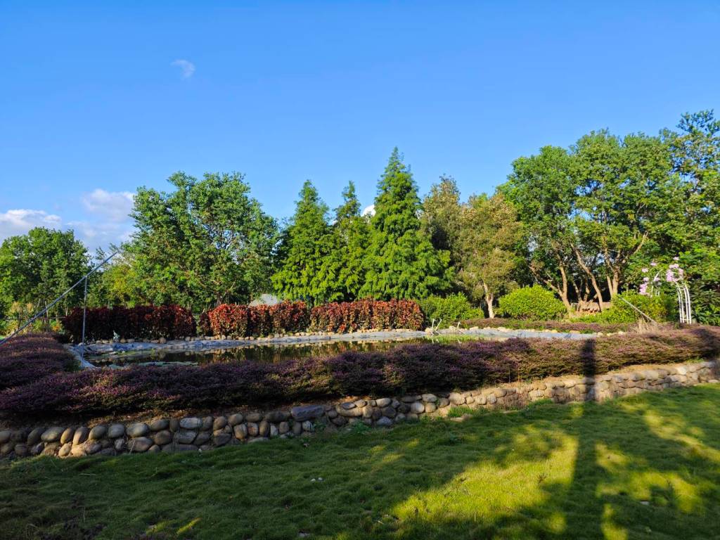  新埔鎮「內立社區柑橘節」 「農遊體驗」「秘境輕旅行」#造型氣球